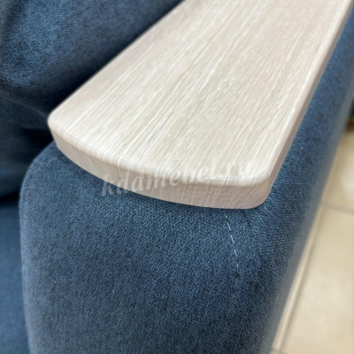 Диван-кровать Карлос БД 2 вар. (Сканди 15/Сканди 09)