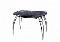 Стол обеденный раздвижной Паук В5 (Абстракция)