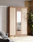 Шкаф-купе Бася (Ясень шимо темный/Дуб сонома)