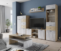 Тэкс Гостиная Дублин Дуб Крафт серый Цемент копия