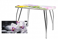 Стол обеденный Краб В5 (Орхидея)